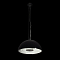 Светильник LOFT IT 10106/400 Black