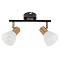 Спот на 2 лампы ARTE LAMP A3117PL-2BK