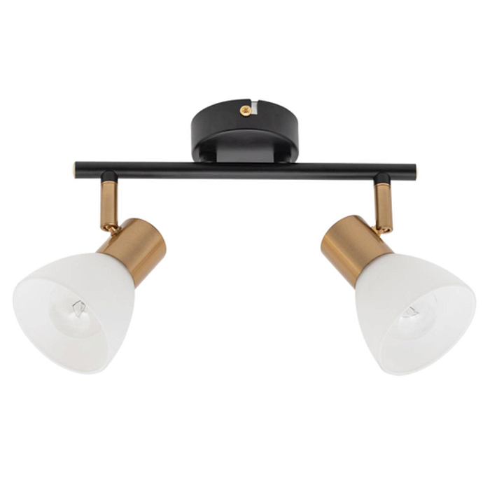 Спот на 2 лампы ARTE LAMP A3117PL-2BK