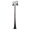 LOFT IT 100022/2300
