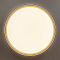 Светильник Citilux CL751451G