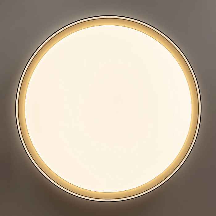 Светильник Citilux CL751451G