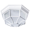 Уличный светильник настенно-потолочный ARTE LAMP A3100PL-1WH