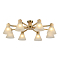 Люстра ARTE LAMP A4096PL-8BR