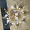 Светильник Crystal Lux STEFANIA PL9