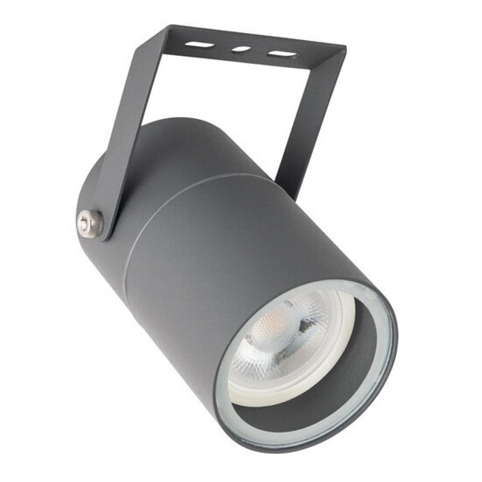 настенно-потолочный ARTE LAMP A3303AL-1GY