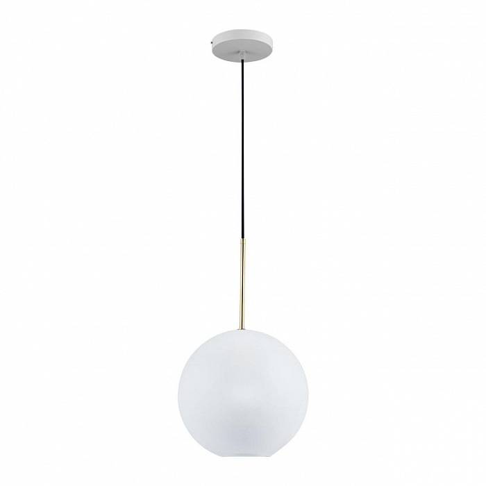Светильник одинарный LOFT IT 2030-P1