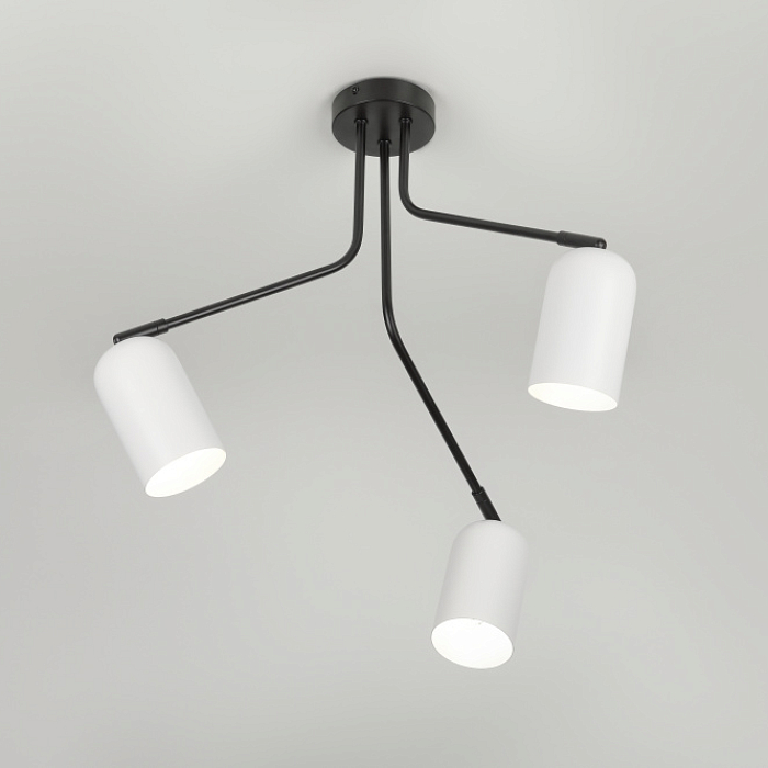 Rivoli 3167-303