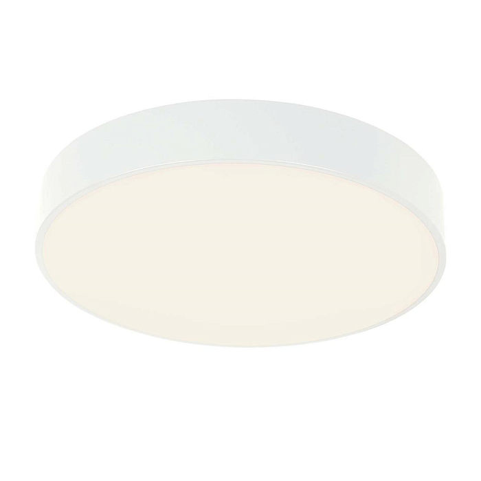 F-Promo 4683-4C