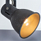 Спот на 3 и более ламп ARTE LAMP A1677PL-4GY
