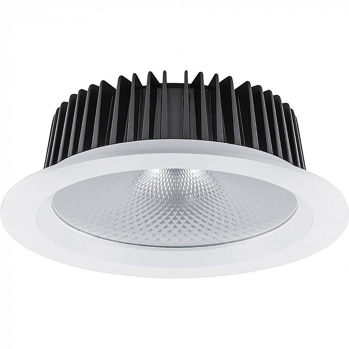 FERON 32616