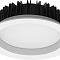 FERON 41618