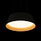 Светильник LOFT IT 10224P Black