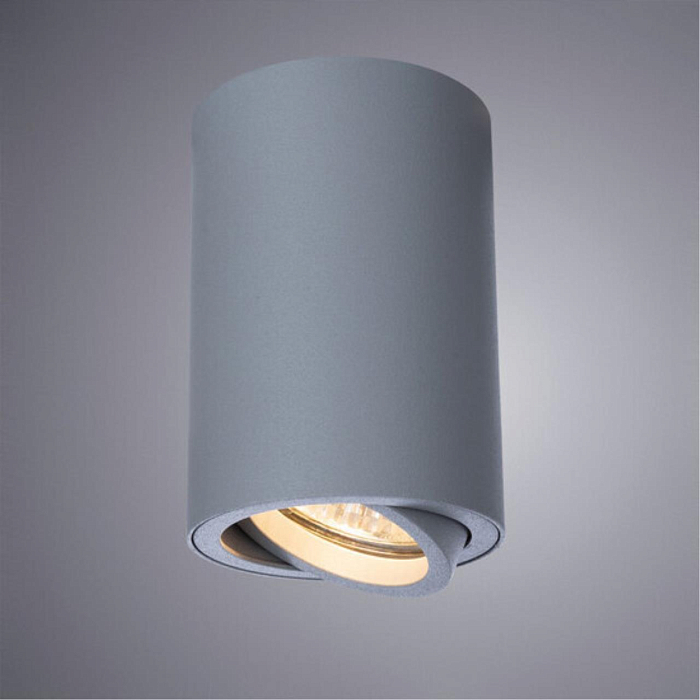 Светильник накладной ARTE LAMP A1560PL-1GY