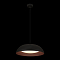 Светильник LOFT IT 10229P Black