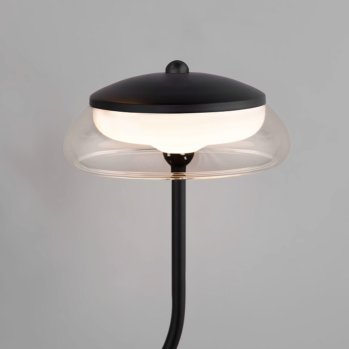 Светильник Eurosvet 50388/2 LED черный