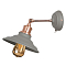 Бра на 1 лампу ARTE LAMP A5067AP-1GY