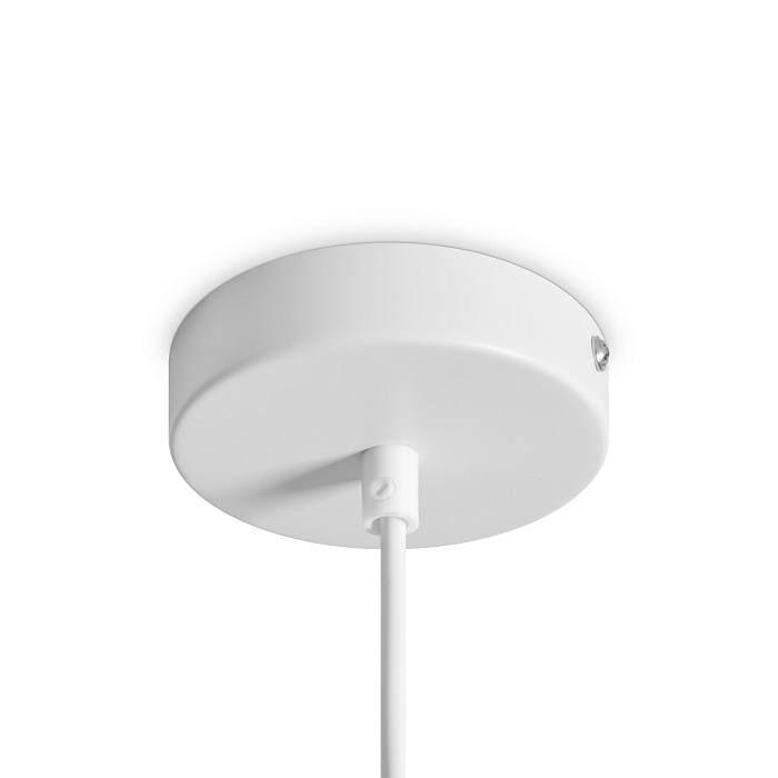 Светильник Freya FR5530PL-L10W