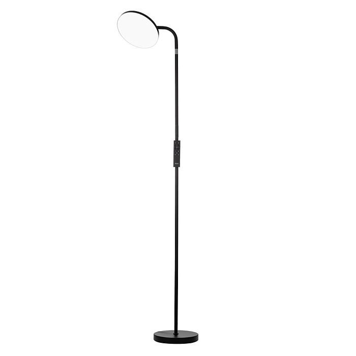 Торшер Citilux CL804061