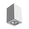 Светильник накладной ARTE LAMP A9264PL-1WH
