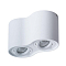 Светильник накладной ARTE LAMP A5645PL-2WH