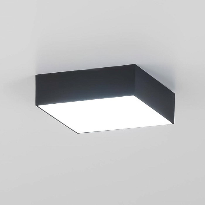 Светильник светодиодный  CL712X122N