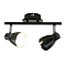 Спот на 2 лампы ARTE LAMP A6008PL-2BK
