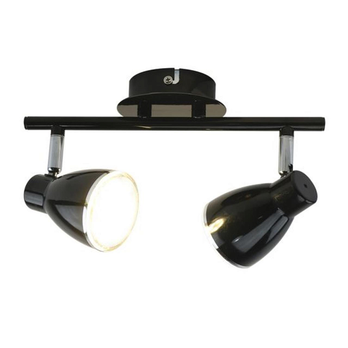 Спот на 2 лампы ARTE LAMP A6008PL-2BK