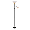 Торшер на 2 и более ламп ARTE LAMP A9569PN-2BK