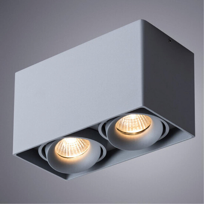 Светильник ARTE LAMP A5654PL-2GY