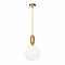 Светильник одинарный LOFT IT 9974-B