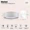 Светильник потолочная Maytoni MOD617CL-04GR