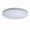 Светильник светодиодный LOFT IT 10002/48 White