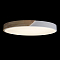 Светильник светодиодный LOFT IT 10004/36 White