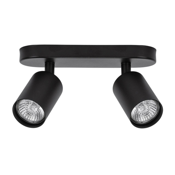Спот на 2 лампы ARTE LAMP A3226PL-2BK