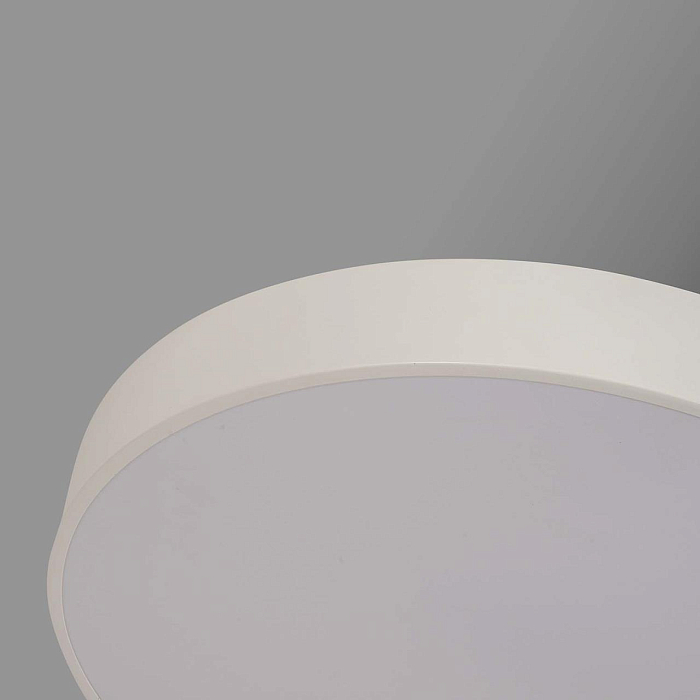 F-Promo 4685-8C
