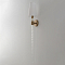 Crystal Lux LUMINOUS AP1 BRASS