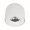 Светильник LOFT IT 10219 White 4000K