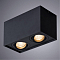 Светильник накладной ARTE LAMP A5544PL-2BK