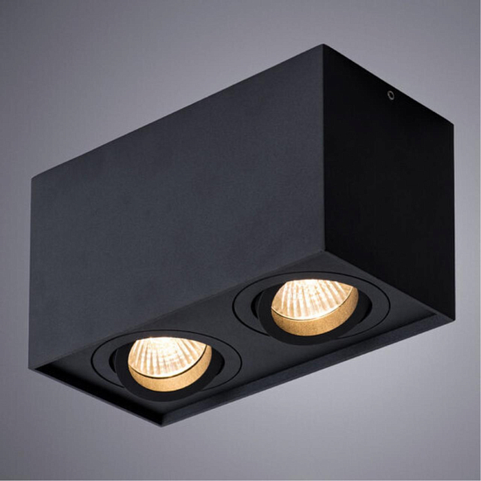 Светильник накладной ARTE LAMP A5544PL-2BK