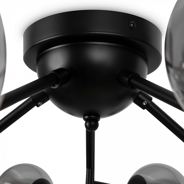 Светильник потолочная Maytoni MOD545CL-20B