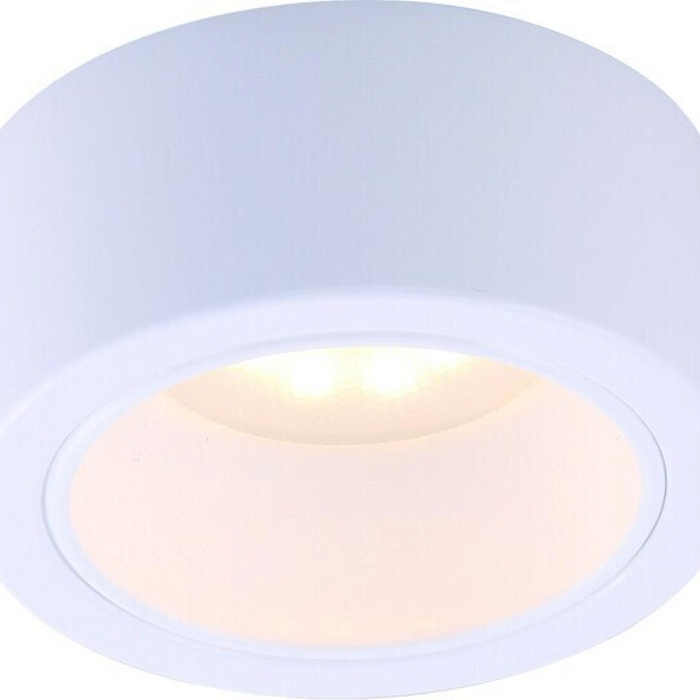 Светильник накладной ARTE LAMP A5553PL-1WH