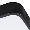 Светильник с пультом ARTE LAMP A2669PL-1BK