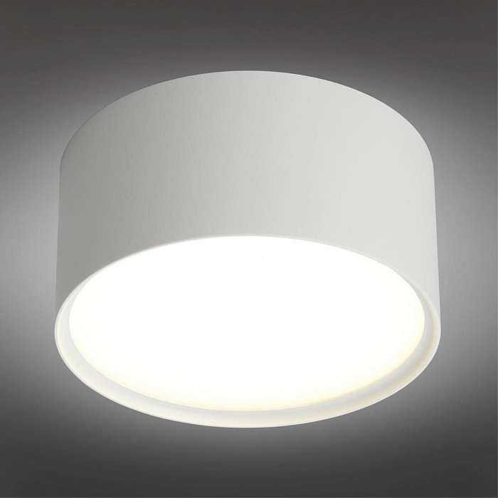 Светильник накладной Omnilux OML-100909-12