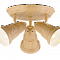 Спот на 3 и более ламп Sfera Sveta 85978/3C WOOD