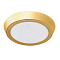 Светильник Lightstar 216932