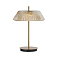 Kink Light 07721-T,20(03)