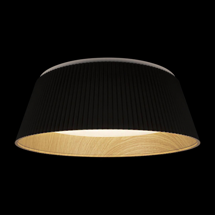 Светильник LOFT IT 10224 Black