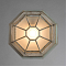 Уличный светильник настенно-потолочный ARTE LAMP A3121PF-1WG