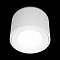 Светильник LOFT IT 10219 White 4000K